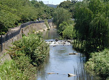 多自然型川づくり（イタチ川）